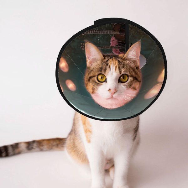 Pet Elizabethan Collar